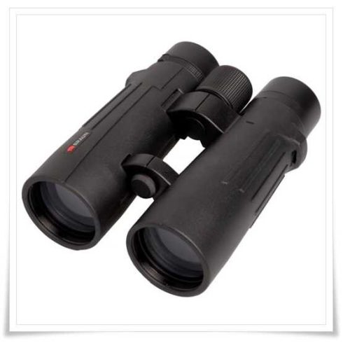 Braun Compagno 8x50 WP (20006)
