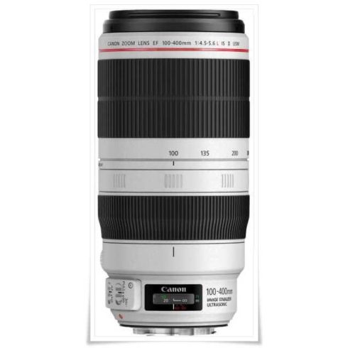 Canon EF 100-400mm f/4.5-5.6L II IS USM (AC9524B005AA)
