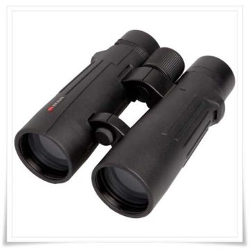 Braun Compagno 10x50 WP (20007)
