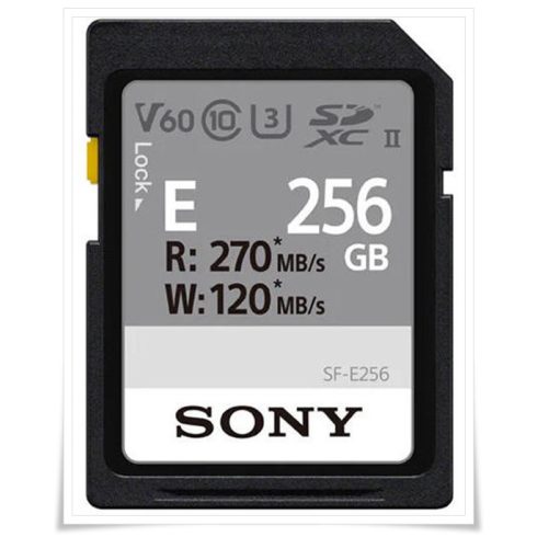 Sony SDXC 256GB UHS-II SFE256